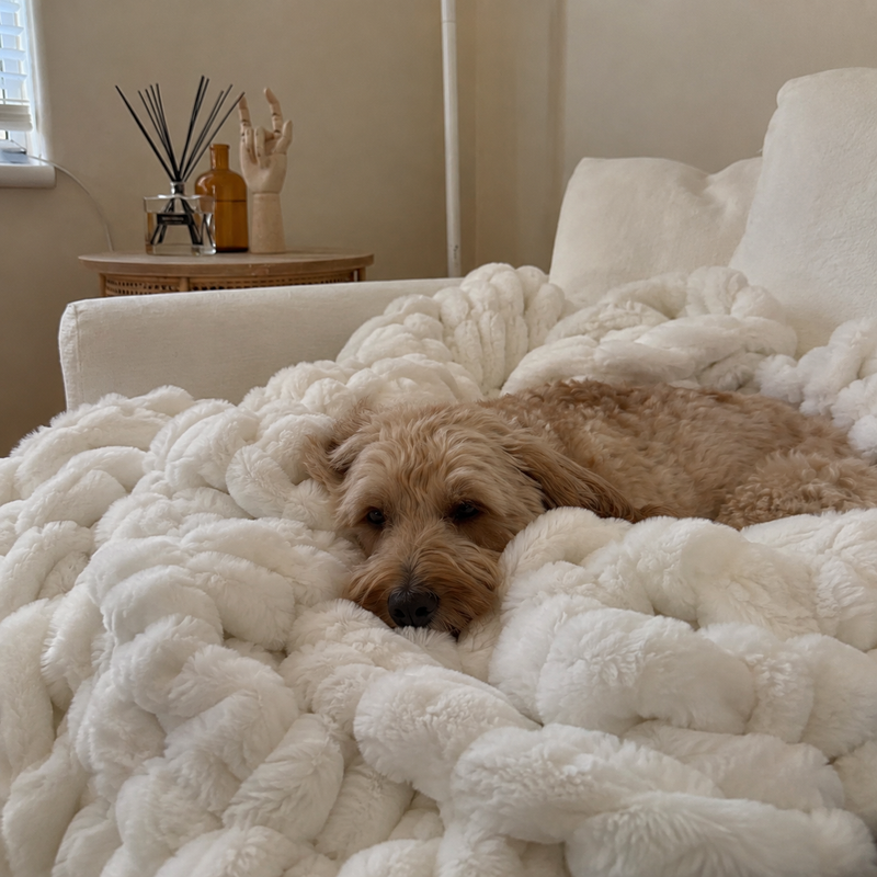 Cozy Blanket Review 301